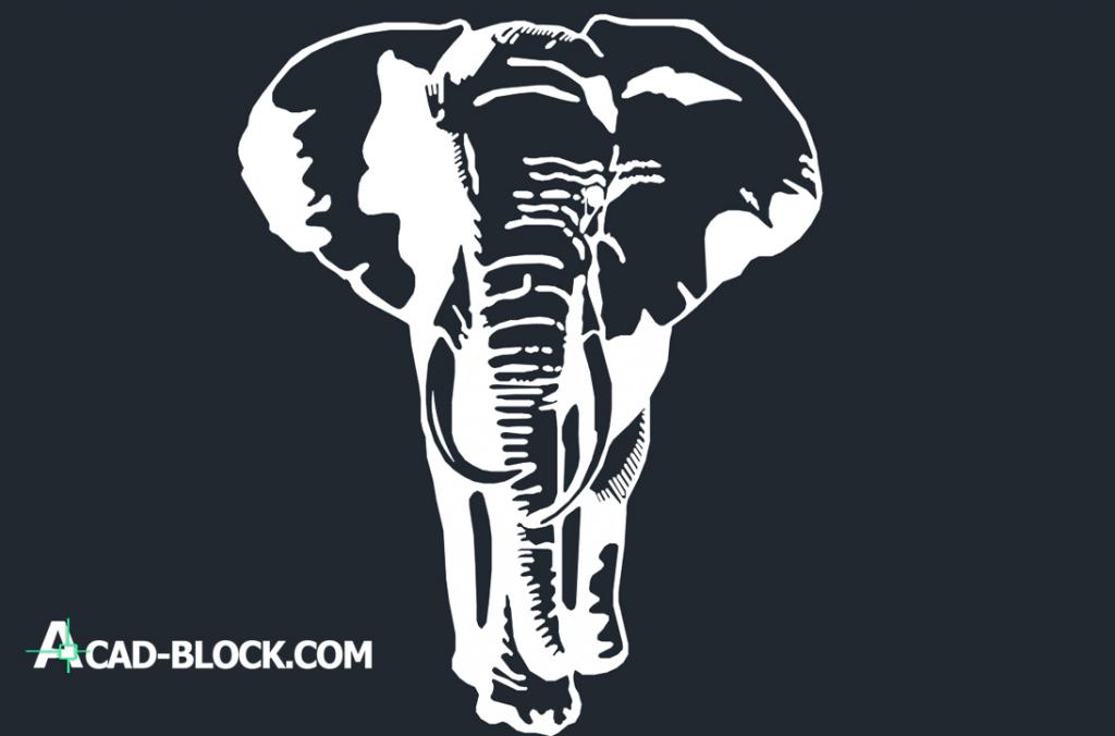 Elephant front dwg