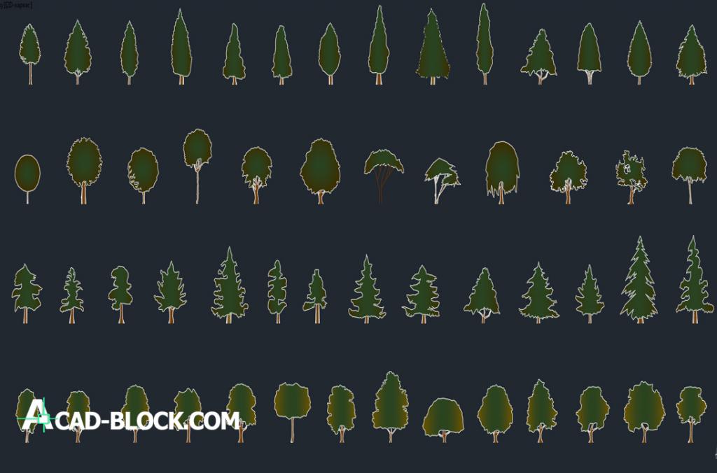 multi stem tree cad block free download