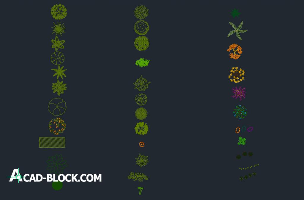 Cad Trees Elevation And Plant 2d Dwg Free Cad Blocks 3339