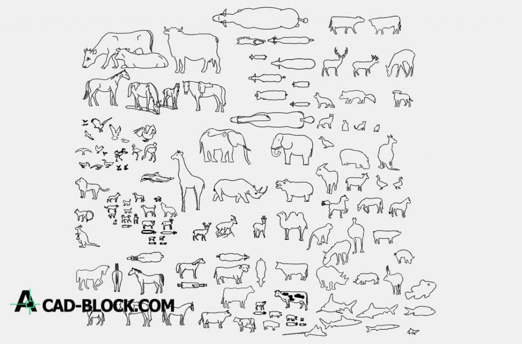 Animal Block dwg cad blocks